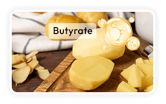 Resistant Starch (RS2)