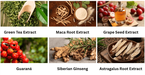 VittaBurn Ingredients