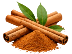 Cinnamon Bark Extract Ingredient