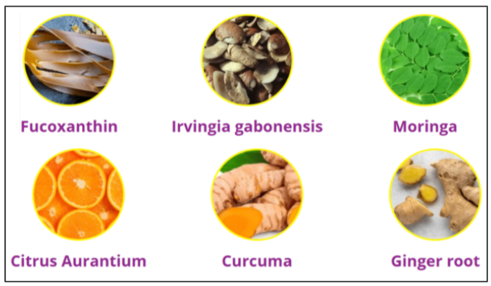 LavaSlim Ingredients